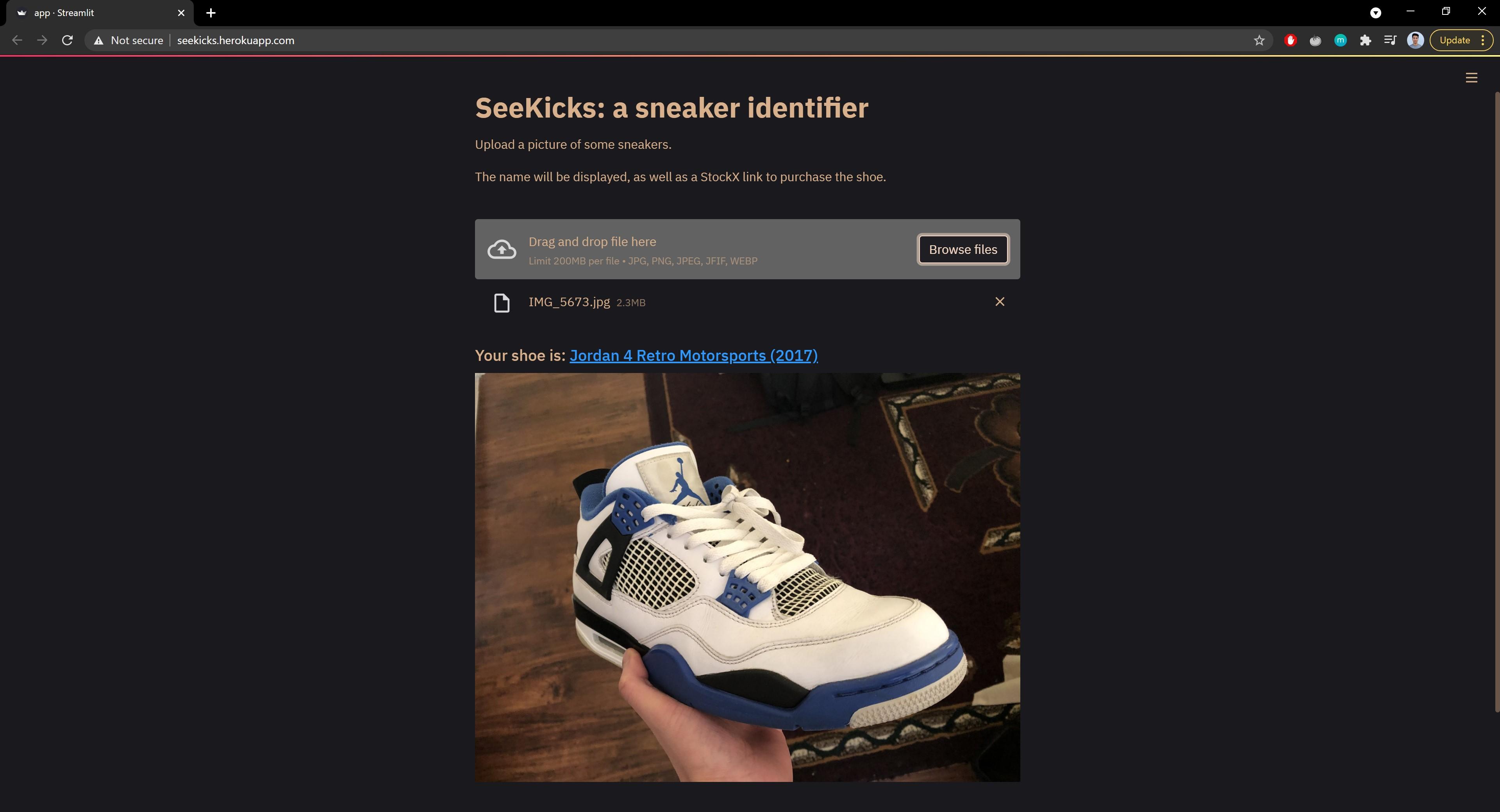 SeeKick webpage