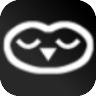 Silent Owl logo